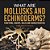What Are Mollusks And Echinoderms? Functions, Groups, Roles And Characteristics Grade 6-8 Life Science-.. - Imagem 1