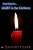 Searching For Light In The Darkness-.. - Imagem 1