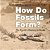How Do Fossils Form? The Earth's History In Rocks Children's Earth Sciences Books-.. - Imagem 1
