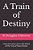 A Train Of Destiny: Lives And Love Lost In The Wreck Of The "City Of New Orleans-.. - Imagem 1