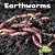 Earthworms-.. - Imagem 1