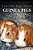 Guinea Pigs - Curious Kids Press-.. - Imagem 1