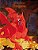 Livre De Coloriage Dragons 1 & 2-.. - Imagem 1