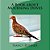 A Book About Mourning Doves-.. - Imagem 1