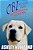Obi The Super Puppy And The Mystery Of The Red Mist-.. - Imagem 1