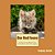 Our Red Foxes: A Picture Book For Children Of All Ages-.. - Imagem 1