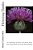 Flowering Thistles: An Anthology Of Stories And Poetry From Four Generations Of A Literary Costa Rican Family-.. - Imagem 1