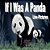 If I Was A Panda-.. - Imagem 1