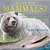 What Are Mammals? Animal Book For 2ND Grade Children's Animal Books-.. - Imagem 1