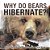 Why Do Bears Hibernate? Animal Book Grade 2 Children's Animal Books-.. - Imagem 1