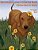The Dachshund Lovers Coloring Book: Much Loved Dogs And Puppies Coloring Book For Grown Ups-.. - Imagem 1