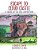 Escape To Cloud Castle: A Three Little Pigs Adventure-.. - Imagem 1