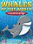 Whales Of The World Coloring Book-.. - Imagem 1