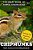 Chipmunks: North American Nut-Eating Rodents-.. - Imagem 1