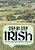 Step-By-step Irish: An Irish Language Workbook For Beginners-.. - Imagem 1