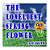 The Loneliest Spring Flower: A Picture Book For Children About A Lonely Flower In The Spring Season-.. - Imagem 1