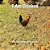 I Am Chicken-.. - Imagem 1