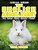 The English Angora Rabbit Do Your Kids Know This?: A Children's Picture Book-.. - Imagem 1