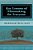 Key Lessons Of Filmmaking For Everyone-.. - Imagem 1