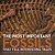 The Most Important Fossils That Tell Interesting Tales Curious About Fossils Grade 5 Children's Earth Sciences Books-.. - Imagem 1
