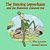 The Dancing Leprechaun And The Shamrock Coloured Hat-.. - Imagem 1