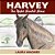 Harvey The Right Handed Horse-.. - Imagem 1