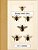 Vintage Prints: Bees-.. - Imagem 1