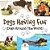 Dogs Having Fun (Dogs Around The World)-.. - Imagem 1