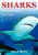 Sharks: Kids Book Of Fun Facts & Amazing Pictures On Animals In Nature-.. - Imagem 1