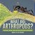 What Are Arthropods? Functions, Groups, Roles And Characteristics Of Arthropods Grade 6-8 Life Science-.. - Imagem 1