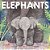 Elephants-.. - Imagem 1
