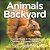 Animals In My Backyard - Animal Book 4 Years Old Children's Animal Books-.. - Imagem 1