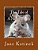 The Tale Of Despereaux A Novel Study-.. - Imagem 1