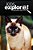 Siamese Cats - Kids Explore: Animal Books Nonfiction - Books Ages 5-6-.. - Imagem 1
