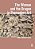 The Woman And The Dragon In Premodern Art-.. - Imagem 1