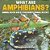What Are Amphibians? Animal Book Age 8 Children's Animal Books-.. - Imagem 1
