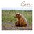 Bears: A Photographic Collection-.. - Imagem 1