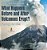 What Happens Before And After Volcanoes Erupt? Geology For Kids Children's Earth Sciences Books-.. - Imagem 1