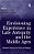 Envisioning Experience In Late Antiquity And The Middle Ages: Dynamic Patterns In Texts And Images-.. - Imagem 1