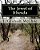 The Jewel Of Ithesda-.. - Imagem 1