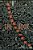 Spidertangle _The Book_-.. - Imagem 1