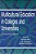 Multicultural Education In Colleges And Universities: A Transdisciplinary Approach-.. - Imagem 1