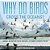 Why Do Birds Cross The Oceans? Animal Migration Facts For Kids Children's Animal Books-.. - Imagem 1