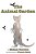 The Animal Garden-.. - Imagem 1