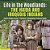 Life In The Woodlands: The Haida And Iroquois Indians Social Studies Grade 3 Children's Geography & Cultures Books-.. - Imagem 1