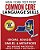 New York Test Prep Common Core Language Skills Idioms, Adages, Similes, & Metaphors: Skill-Building Practice For Grade 3, Grade 4, And Grade 5-.. - Imagem 1