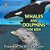 Whales And Dolphins For Kids: Oceans Of The World In Color-.. - Imagem 1