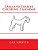 Lakeland Terrier Coloring Calendar-.. - Imagem 1