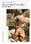 Male Nude Photography- Primal Man Forest Men-.. - Imagem 1