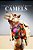 Camels - Curious Kids Press: Kids Book About Animals And Wildlife, Children's Books 4-6-.. - Imagem 1